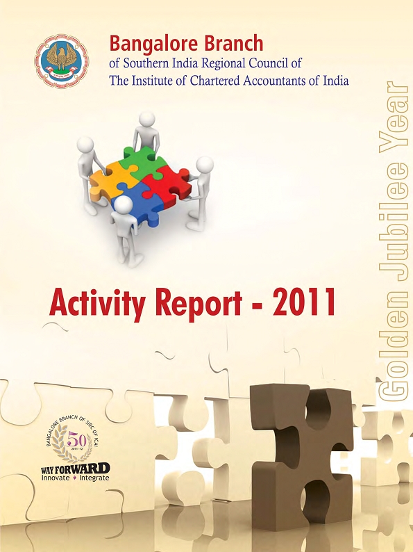 2011 Activity Report